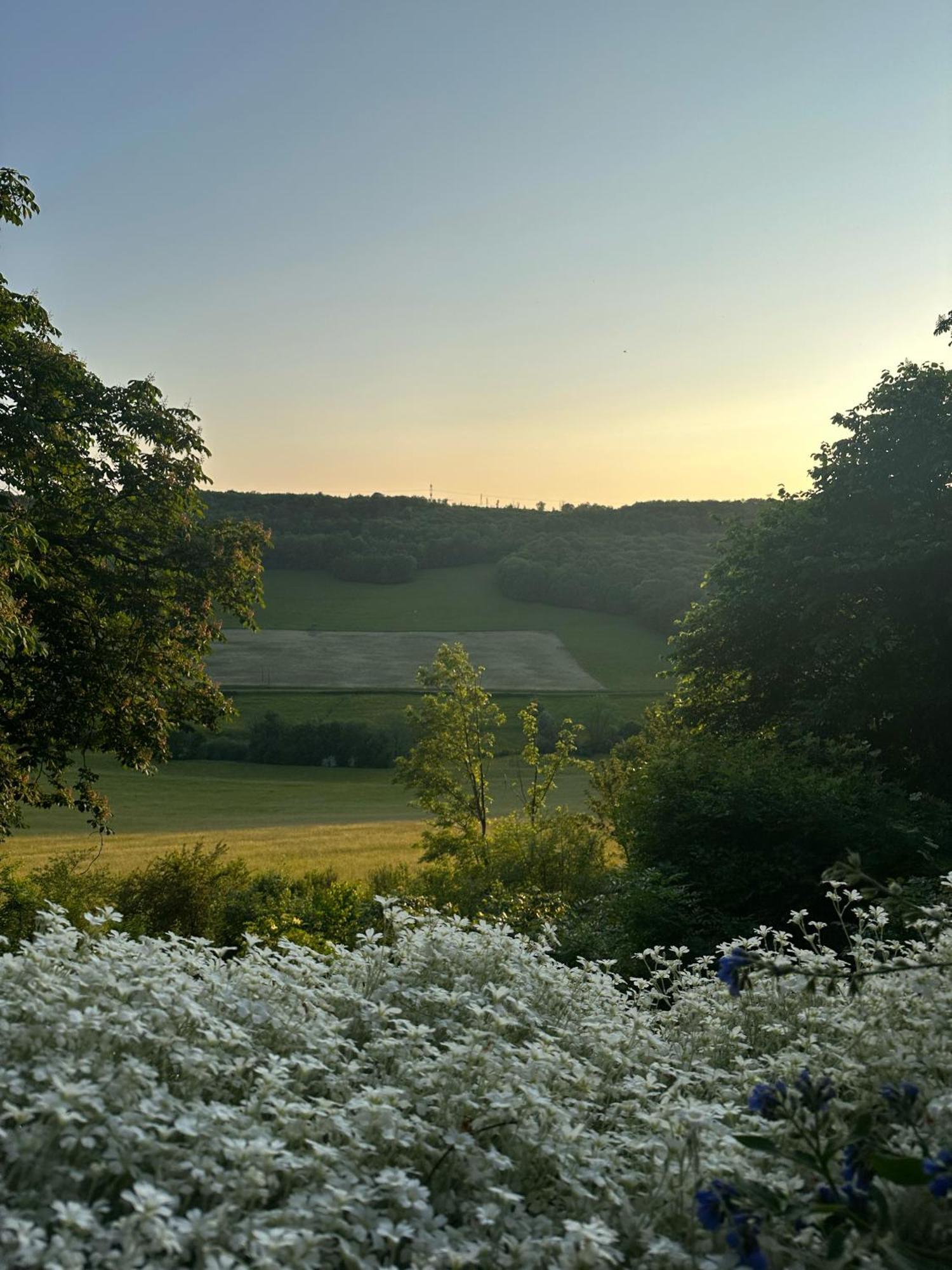 Chateau De Champrenault, Voyagez Dans Le Temps Luaran gambar