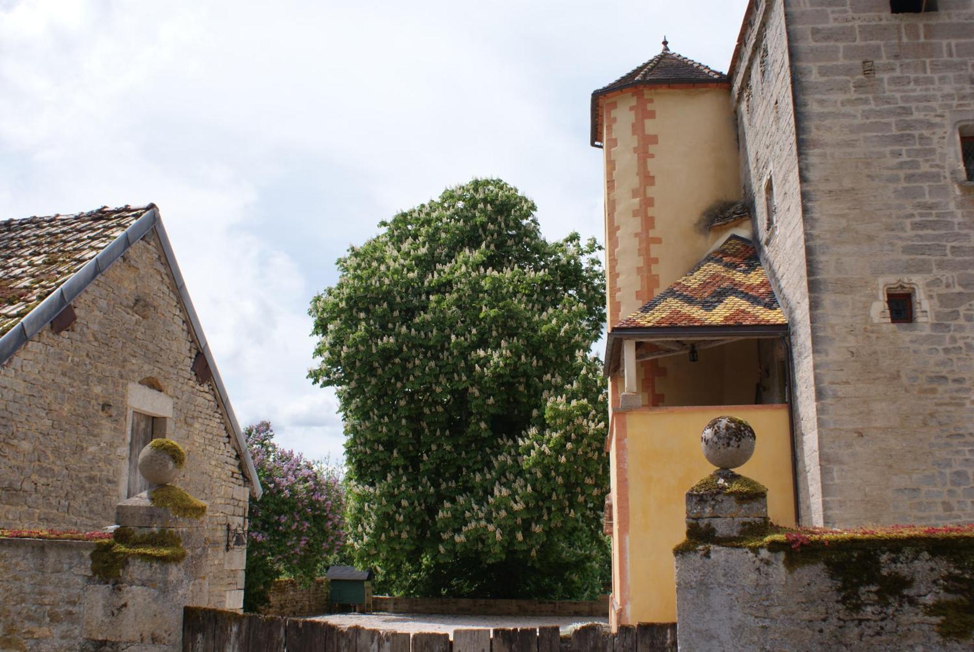 Chateau De Champrenault, Voyagez Dans Le Temps Luaran gambar