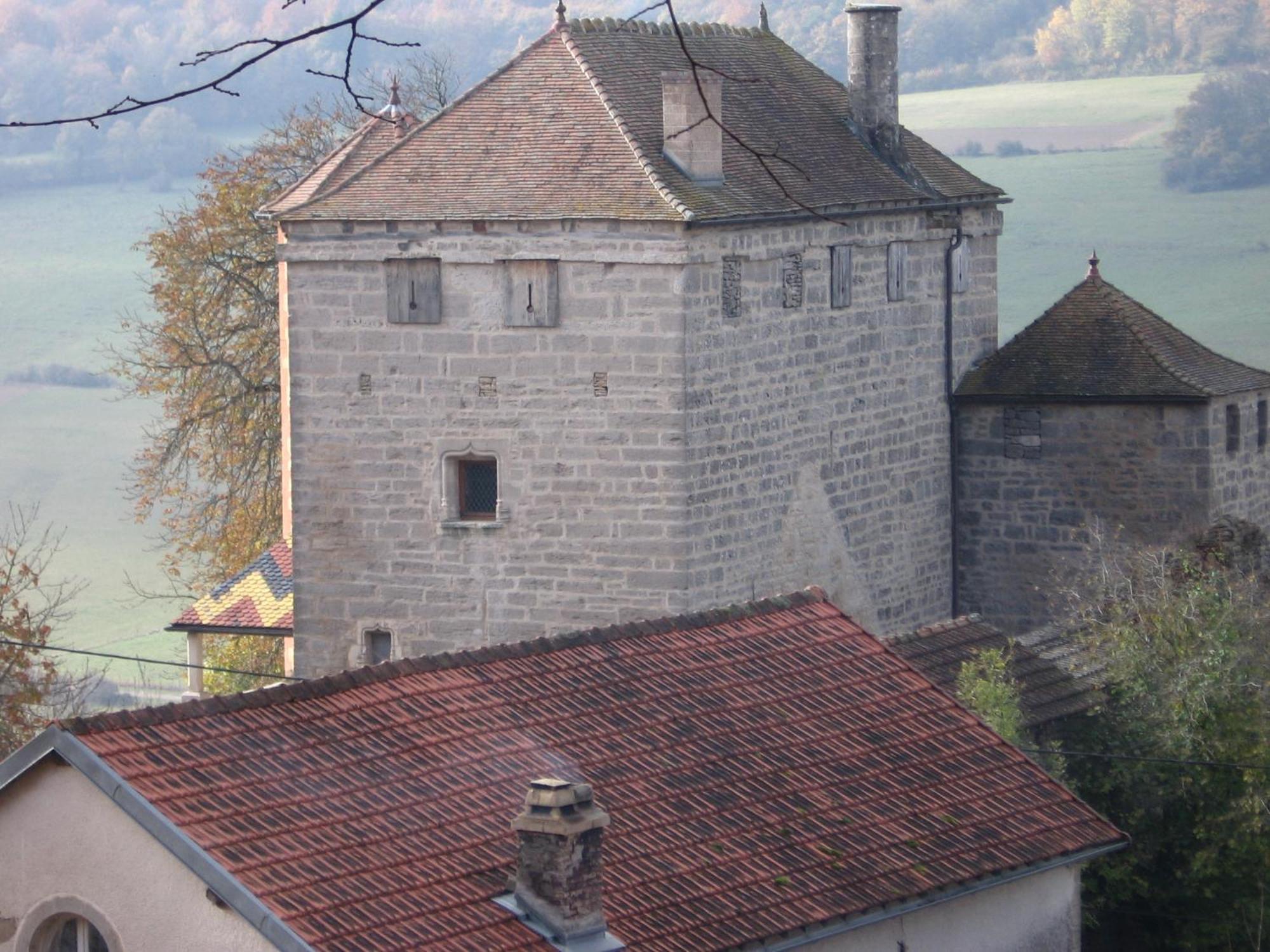 Chateau De Champrenault, Voyagez Dans Le Temps Luaran gambar